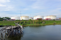 jma_temanmoe_1800_IMG202107141022052