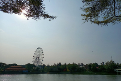 jma_temanmoe_1800_IMG20211024152543