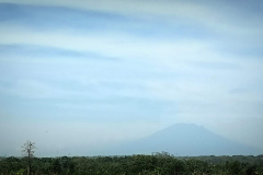 jma_temanmoe_1800_IMG_20210714_083602